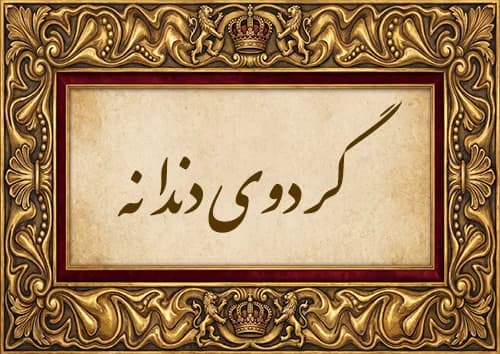 گردوی دندانه