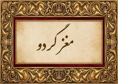 مغز گردو